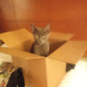 Meet your Posher, Cami